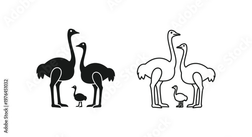 Ostrich Family Illustrations Unique Bird Art Design Vector