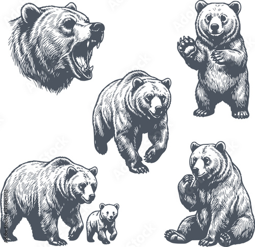 black fill hand drawn style bear actions collection with roaring walking and sitting poses no white fills included
