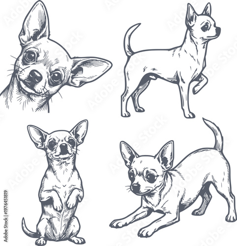 set of four hand drawn chihuahua dog poses in black fill style with no white fills ideal for icons and symbols