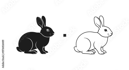 Optical Illusion Rabbit Black vs White Perception Vector