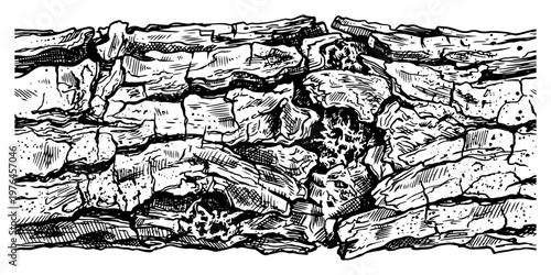 Tree bark texture with rough surface in woodcut engraving style