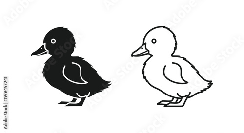 Black and White Ducklings Illustration Guide Vector