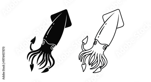 Squid Illustration Designs Stylish Squid Art Prints Vector