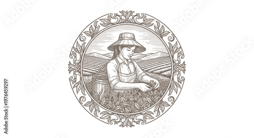 Vintage Engraved Tea Picker in Plantation
