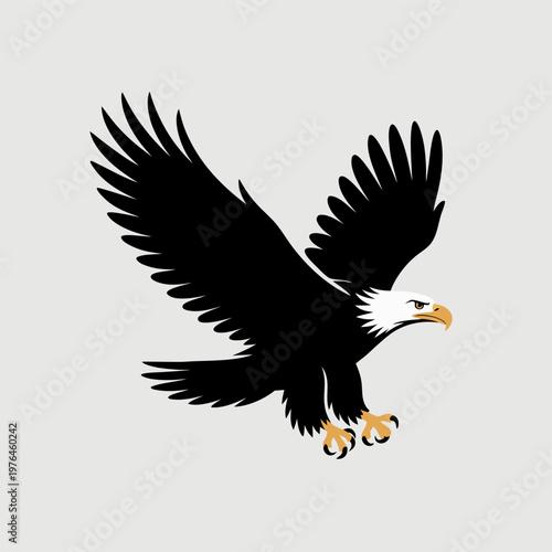 Illustration Of A Bald Eagle In Flight