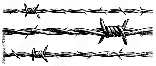 Barbed wire strands with sharp thorns vintage engraving style