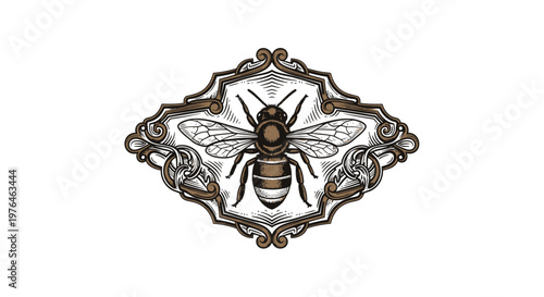 Vintage Honey Bee Illustration in Ornate Frame