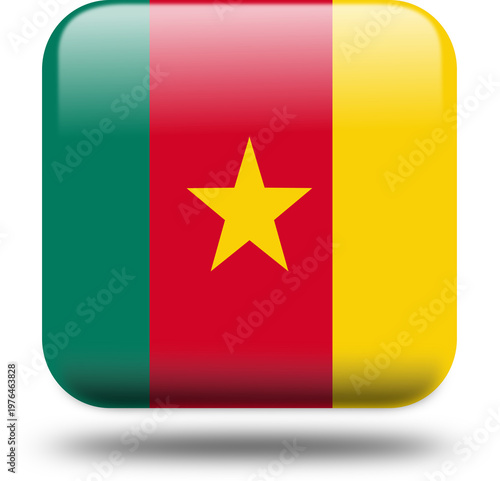 square 3d look Flag Cameroon