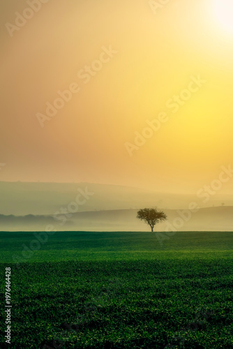 Edirne, one of the former capitals of the Ottoman Empire, with its four-minaret Selimiye Mosque, bridges and other mosques, photographed in the light of sunrise and sunset.