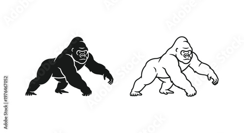 Gorilla Illustration Knuckle-Walking Primate Comparison Vector