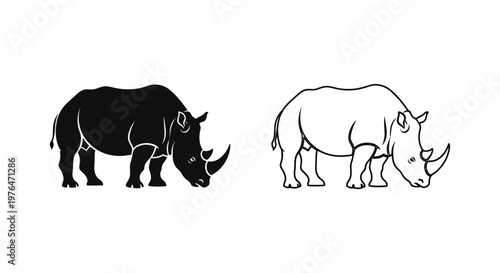 Black and White Rhino Species Comparison Guide Vector