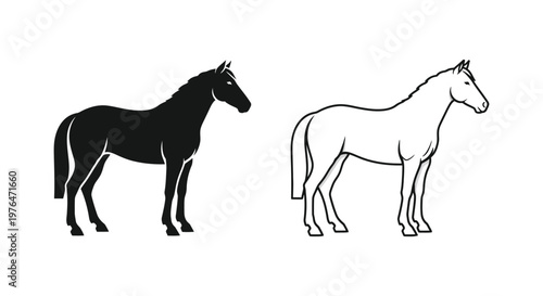 Horse Breed Comparison Guide Vector