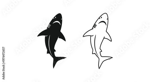 Shark Vector Art Designs High Quality Print Ready Vector