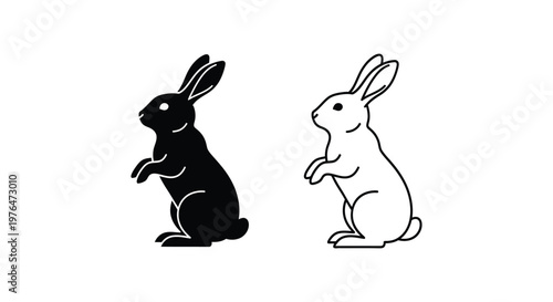 Yin Yang Rabbit Symbol Positive Negative Balance Vector