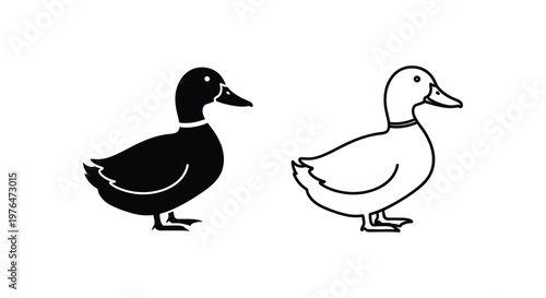 Duck Male Female Pair Silhouette Design Vector Art Vector
