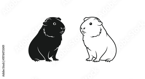 Cute Guinea Pig Pairs - Black and White Pet Animals Vector