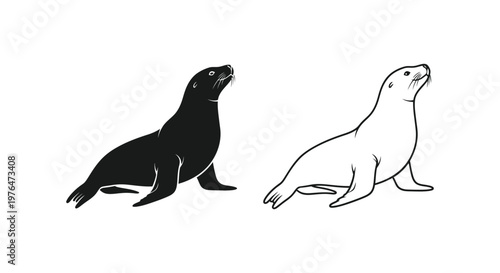 Sea Lion vs Seal Marine Mammal Comparison Guide Vector