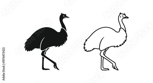 Emus Birds Silhouette Vector Designs Vector