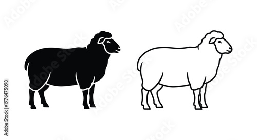 Black and White Sheep Illustration Guide Vector