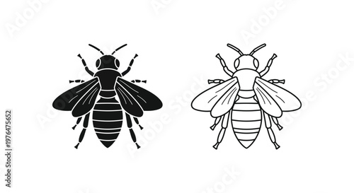 Bee vs Wasp Key Differences  Identification Guide Vector