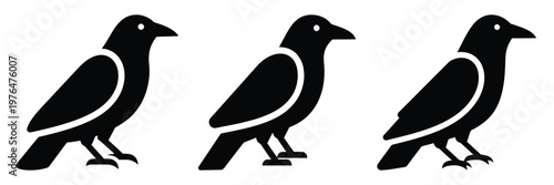 crow silhouette set vector illustration