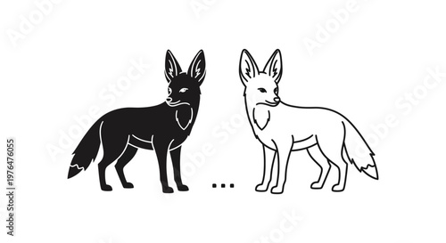 Black and White Fox Comparison Guide Vector