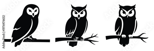 owl on branch silhouette set vector illustration