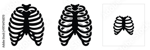 skeleton rib cage silhouette set vector illustration