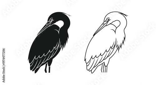 BlackAndWhiteBirdComparisonIllustration Vector