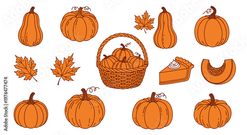 Autumn harvest illustration featuring pumpkins gourds and leaves in a wicker basket on white background