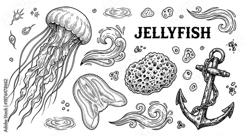 Set of Hand Drawn Marine Life Illustrations Featuring Jellyfish Anchor Sea Sponge and Ocean Waves in Vintage Engraving Style