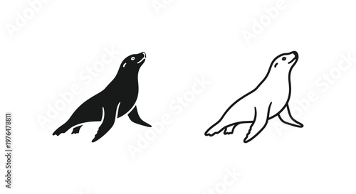 Sea Animals Comparison Seal vs Sea Lion Vector
