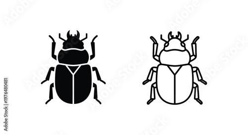 Ladybugs vs Beetles Key Differences Illustrated Vector