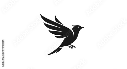 Dynamic black flying bird logo design with open wings, isolated white background.