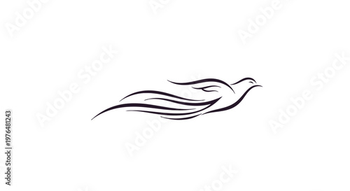 a minimalist illustration of a flying bird.