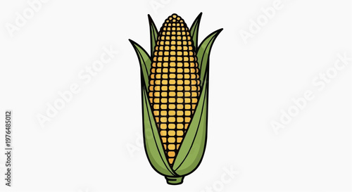 A close-up view of fresh corn on the cob