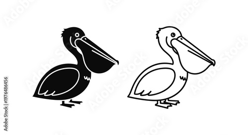 Black and White Pelican Birds Illustration Design Vector