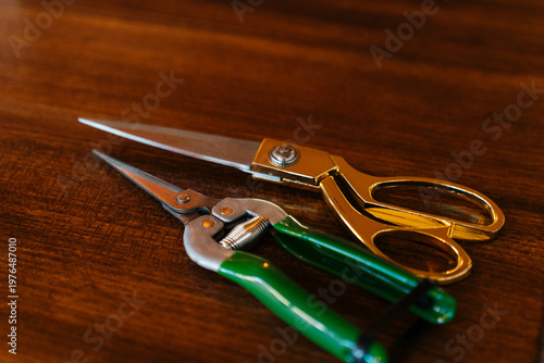 Close-up of scissors and pruning shears on a wooden surface, highlighting sharp metal blades and colorful handles. Ideal concept for gardening, crafting, DIY work, and everyday tools.