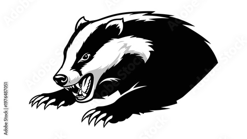 Aggressive Badger Growling with Sharp Teeth and Claws, Black and White Illustration