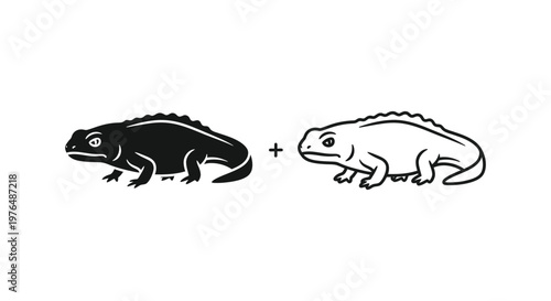 Frog Amphibian Hybrid Design Concepts Vector