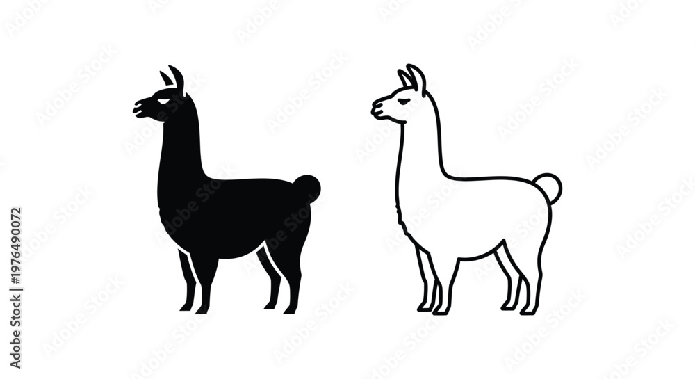 Fototapeta premium Llamas Comparison Black vs White Camelid Animals Vector