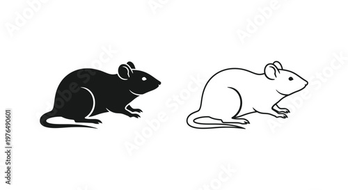 Lab Rats Comparison Black vs White Rodent Models Vector