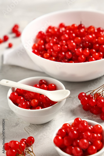 Bowls with fresh viburnum b...