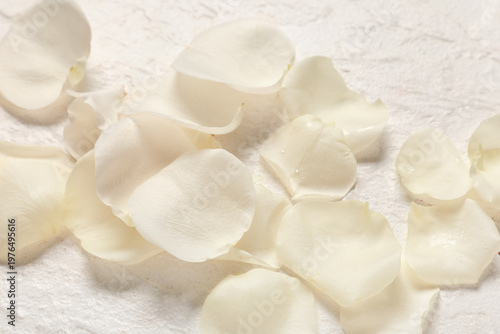 Beautiful white rose petals...