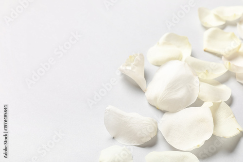 Beautiful white rose petals...