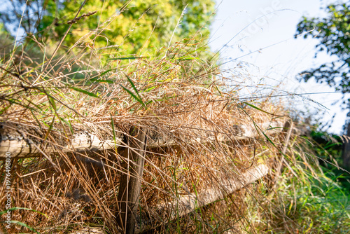 Rundweg Stadt und Schloss Stolberg im Harz, Sachsen-Anhalt