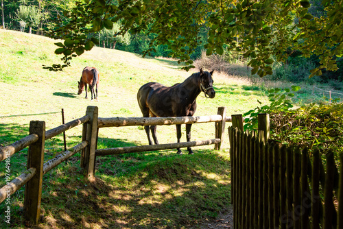 Rundweg Stadt und Schloss Stolberg im Harz, Sachsen-Anhalt