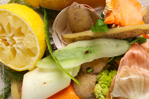 Different organic waste as ...
