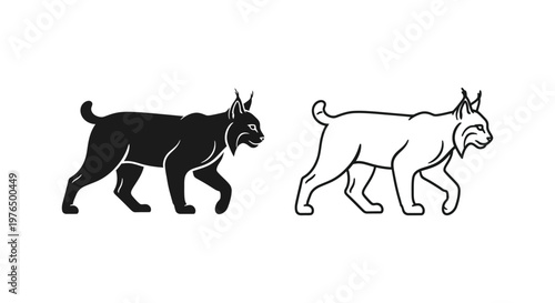 Lynx Cat Comparison Black vs White Sketch Guide Vector