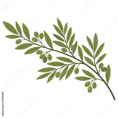An olive branch with vibrant green leaves and olives, symbolizing peace and abundance.